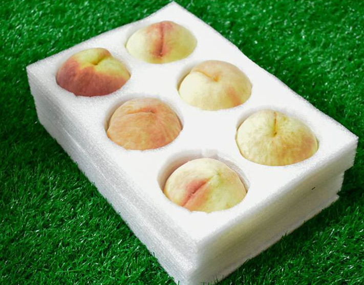 珍珠棉用于各類包裝行業(yè)應用